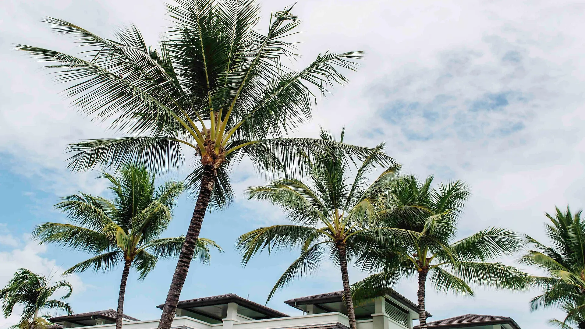 Pullman Port Douglas Sea Temple Resort And Spa contacts